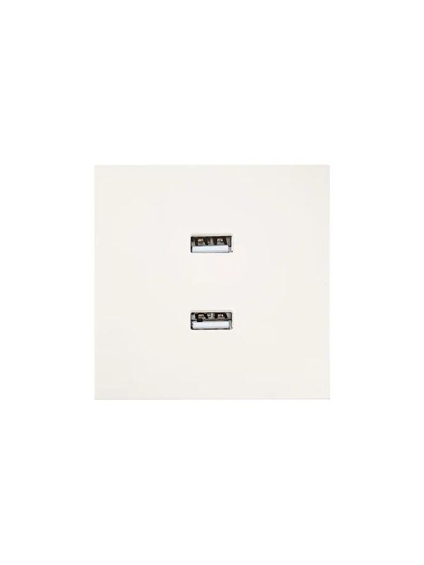 розетка 2-мест. usb разъем сп zima ip20 слон. кость lezard 704-9088-192 от BTSprom.by