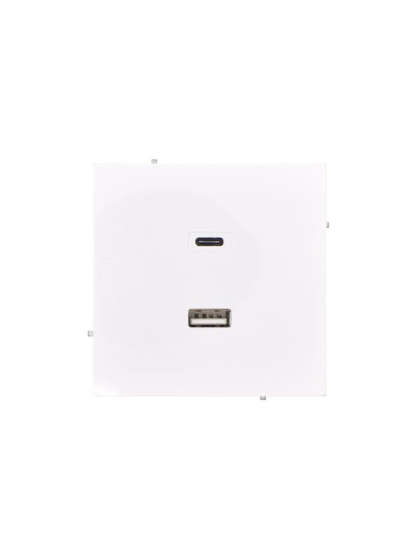 розетка usb 2-м сп estet ip20 usb type a + type c механизм бел. lezard 745-0288-192tc от BTSprom.by