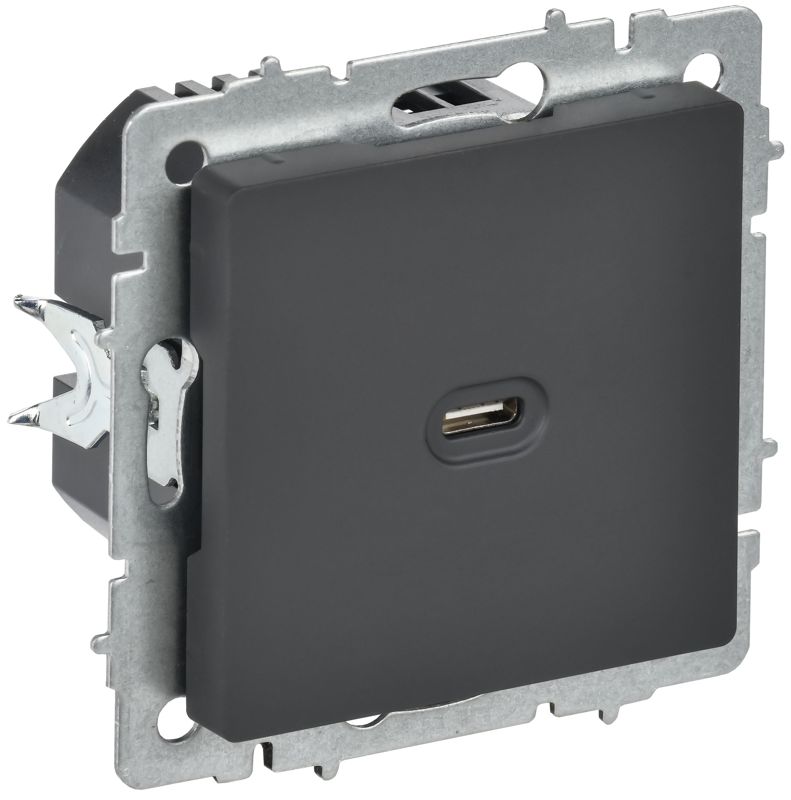 розетка сп brite рю12-1-брг usb c 65вт высокоскор. заряд. графит iek br-u13-065-k53 от BTSprom.by