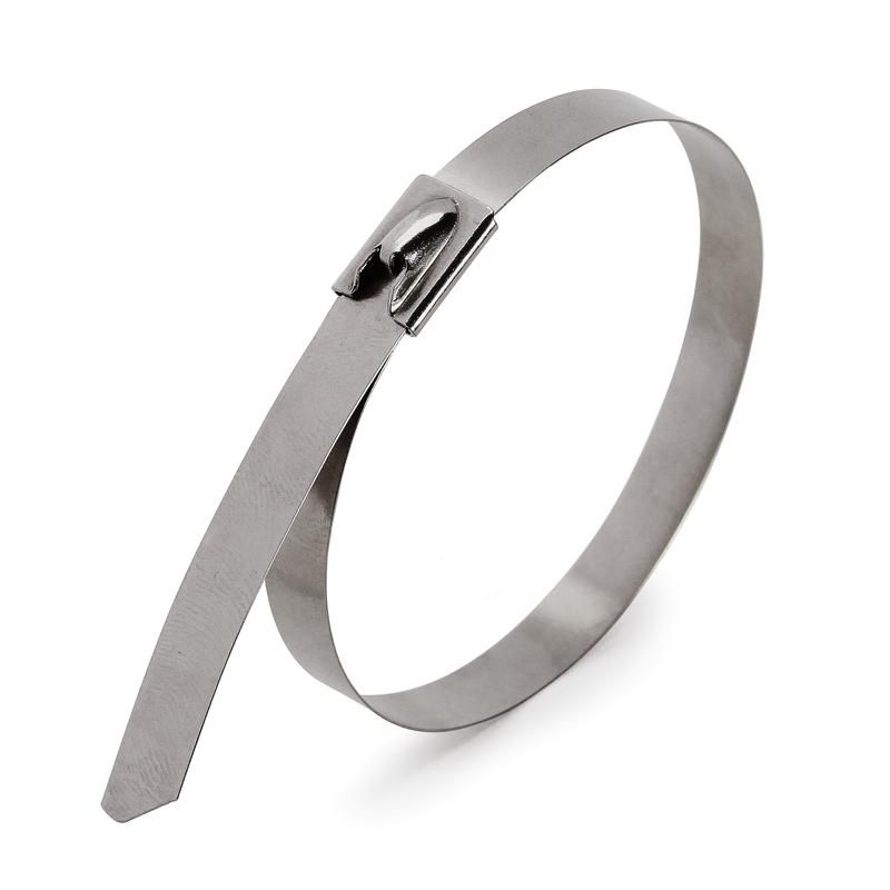 хомут кабельный скс (304) 7.9х300 стальной (уп.100шт) fortisflex 74922 от BTSprom.by