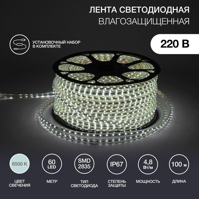 лента светодиодная smd3528 10х7мм 60led/м 4.8вт/м 220в ip67 бел. (уп.100м) neon-night 142-605 от BTSprom.by