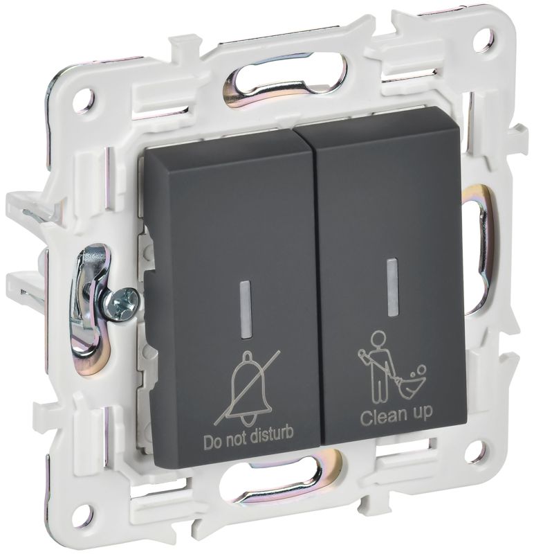 выключатель 2-кл. skandy 10а sk-v16g для отелей с индикацией графит iek sk-v20-2-10-k53 от BTSprom.by