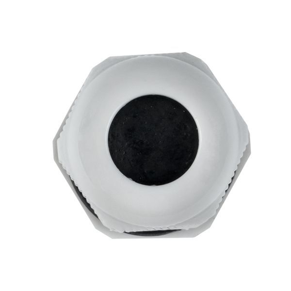  Сальник PG13.5 d6-12мм (d отверст. 21мм) IP54 PROxima EKF plc-pg-13.5-r фото в каталоге от BTSprom.by