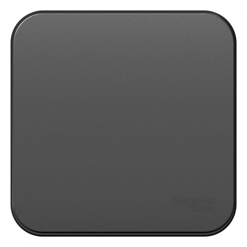 выключатель 1-кл. оп blanca 10а ip20 (сх. 1) 250в с изолир. пластиной антрацит se blnva101016 от BTSprom.by