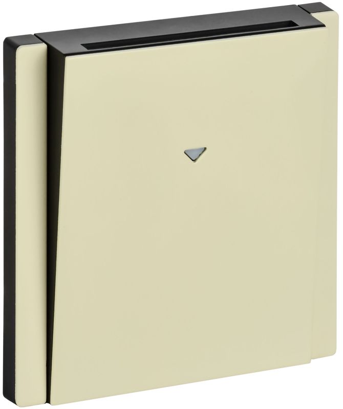 выключатель карточный 1п 1мод. forte&piano fp843m 30а ip20 сл. кость iek fp-v11-0-10-1-m-k41 от BTSprom.by
