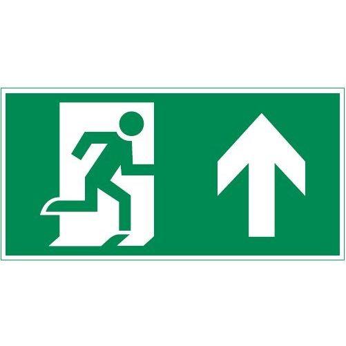 знак vault sst "выход вверх" 150х300мм varton v4-em-00.1530.adv-0006 от BTSprom.by