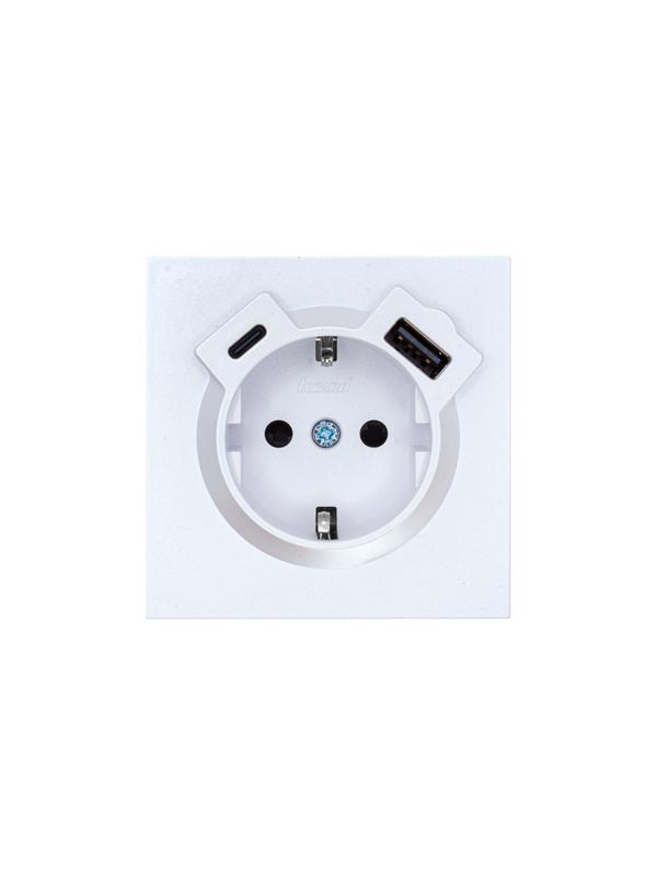 розетка 1-м сп zima 16а ip20 с заземл. + tc + usb механизм бел. искра матов. lezard 704-1488-181tc от BTSprom.by