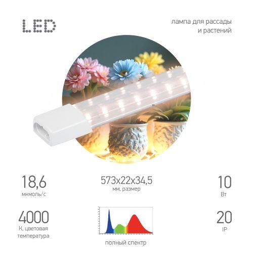 светильник fito-10w-т5-pfr-slim-gr 10вт линейный для растений полного спектра green line эра б0066968 от BTSprom.by светильник fito-10w-т5-pfr-slim-gr 10вт линейный для растений полного спектра green line эра б0066968 от BTSprom.by