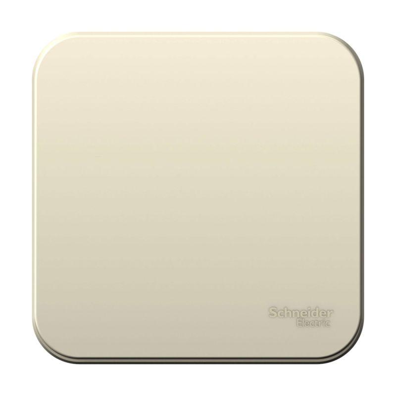 выключатель 1-кл. оп blanca 10а ip20 (сх. 1) 250в с изолир. пластиной молочн. se blnva101012 от BTSprom.by