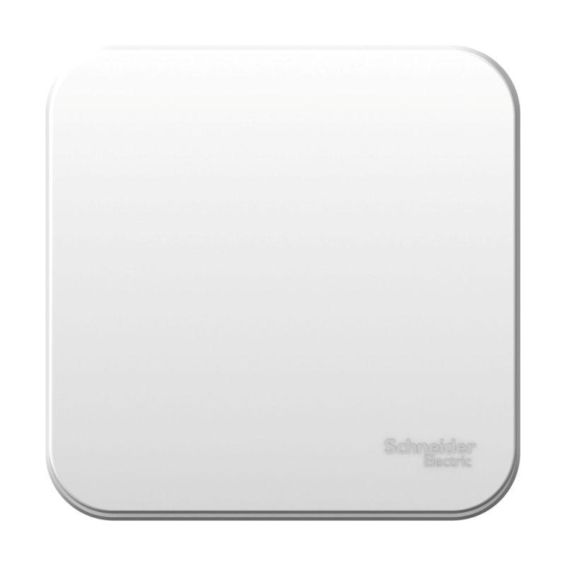 выключатель 1-кл. оп blanca 10а ip20 (сх. 1) 250в с металлич. пластиной бел. se blnva101021 от BTSprom.by