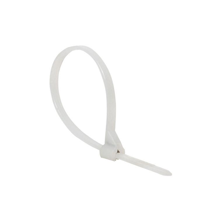 хомут нейлоновый со стальным зубом (б) 3х100 (уп.100шт) proxima ekf plc-fl-ctsbw-3x100 от BTSprom.by