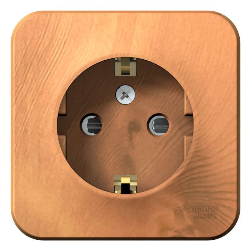 розетка 1-м оп blanca 16а ip20 250в с заземл. защ. шторки ясень se blnra011105 от BTSprom.by