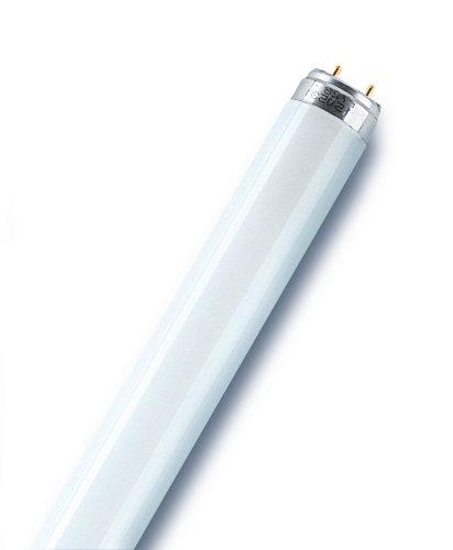 лампа люминесцентная l 18w/840 lumilux 18вт t8 4000к g13 смол. osram 4058075693074 от BTSprom.by