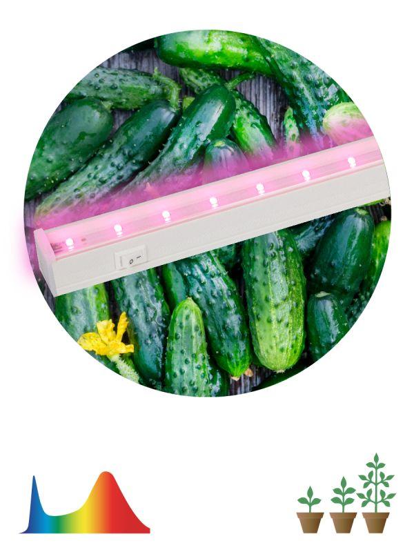 светильник светодиодный lled-05-t5-fito-18w-w линейный фито эра б0028201 от BTSprom.by