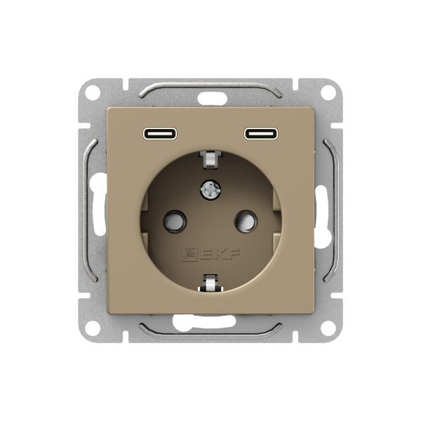 розетка сп эпика 16а с 2 usb-c с заземл. защ. шторки механизм шампань ekf up1-soc-111-2usbc от BTSprom.by