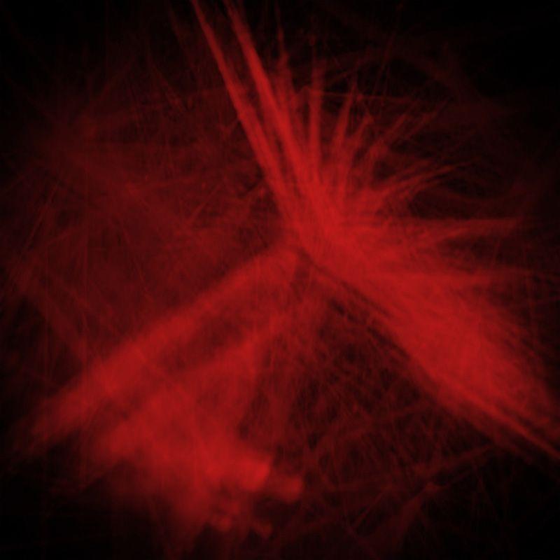  Проектор лазерный 5.4Вт 220В IP44 эффект "Северное сияние" с пультом ДУ Neon-Night 601-264 фото в каталоге от BTSprom.by