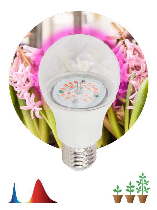 лампа светодиодная fito-10w-rb-e27-k 10вт a60 грушевидная прозрачная 1310к e27 130-270в для растений красн./син. спектр эра б0039069 от BTSprom.by