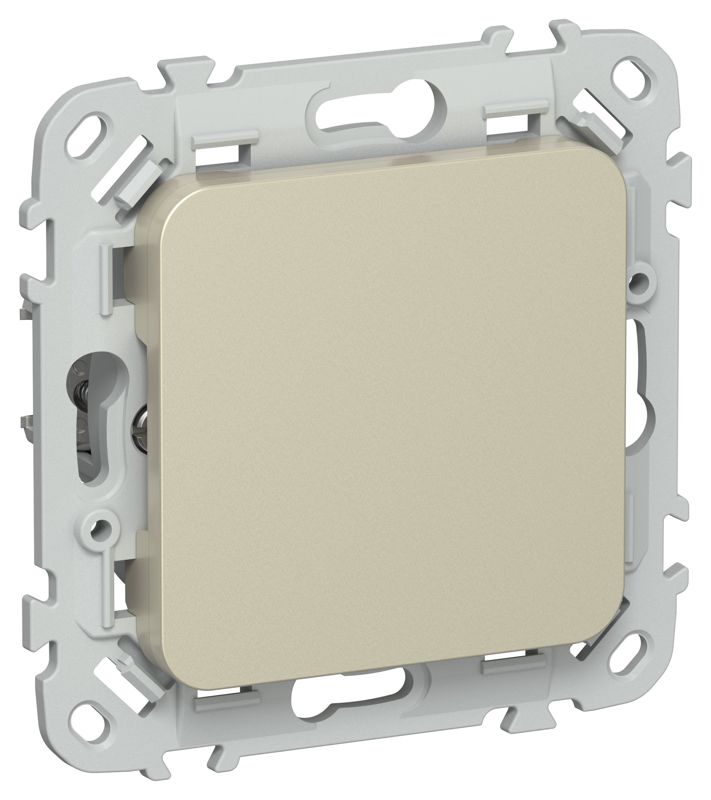 заглушка сп flite зг-флш с суппортом механизм шампань iek fi-pl10-k37 от BTSprom.by