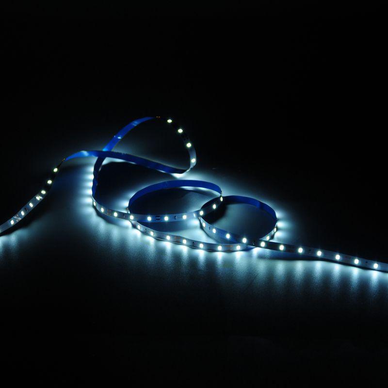  Лента светодиодная Elementary 2835/60-SMD 4.8Вт/м 6500К холод. бел. IP20 170лм/м 12В 8мм (уп.5м) GAUSS 355000305 фото в каталоге от BTSprom.by