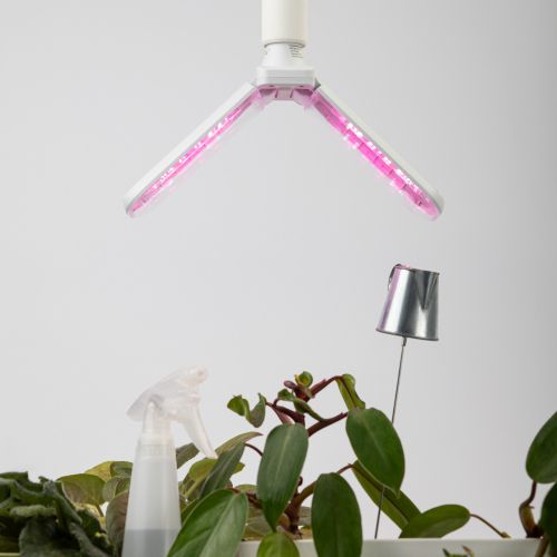 Лампа светодиодная GREEN LINE ФИТО-20W-PL-E27-GR 20Вт E27 для растений 2-х лепестковая красн./син. спектра Эра Б0064517 фото в каталоге от BTSprom.by