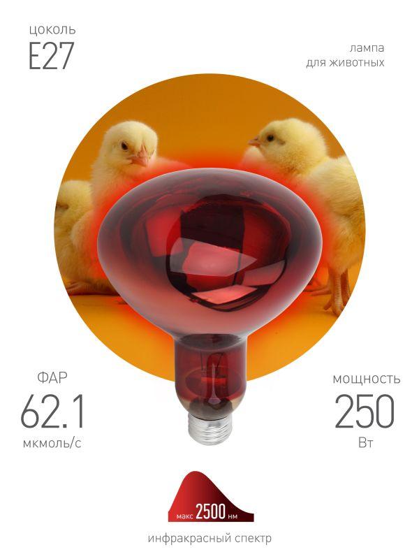 излучатель тепловой (лампа инфракрасная) икзк 220-250 r127 250вт e27 ip20 кэлз б0042980 от BTSprom.by