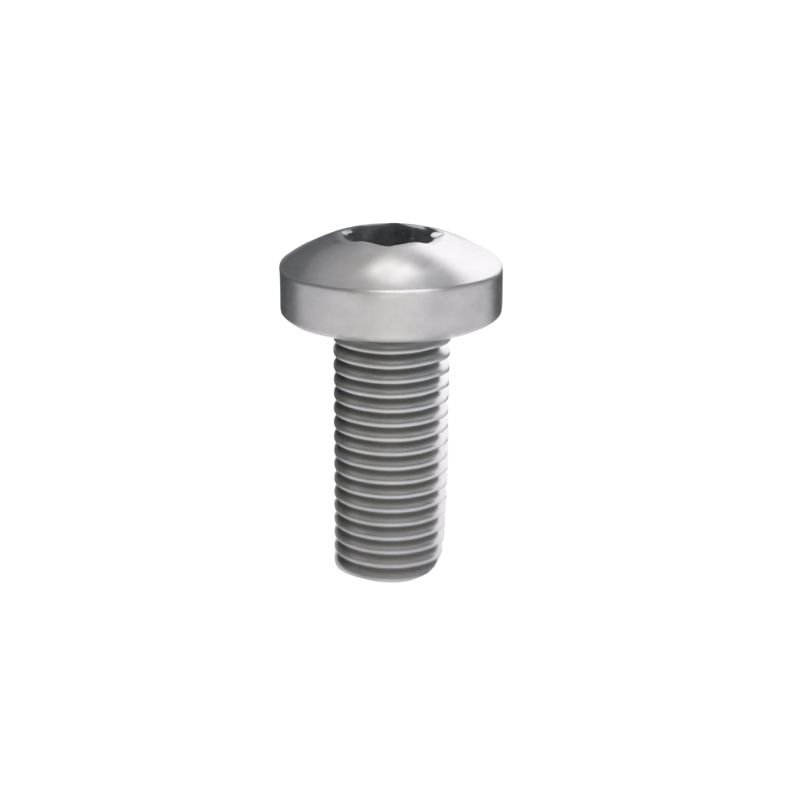 винт м6х16 под шлиц torx комплект рам пауэр (ram power) (уп.50шт) dkc r5m616 от BTSprom.by