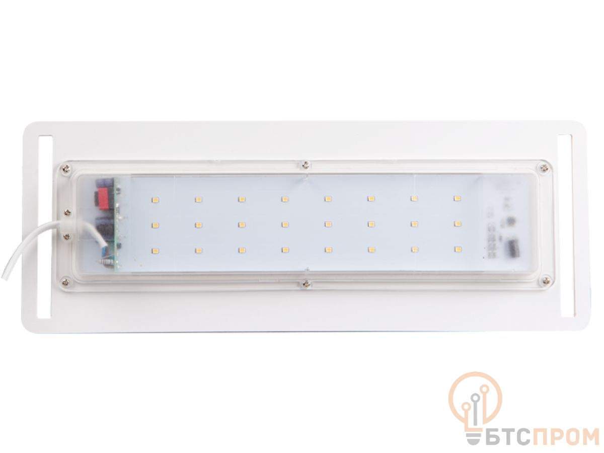  Подставка-светильник PMG 002 LED 14Вт 4000К для растений JazzWay 5009554 фото в каталоге от BTSprom.by