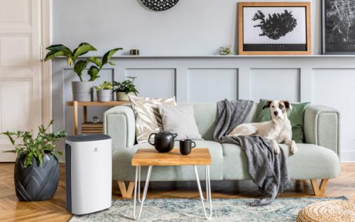  Осушитель воздуха RD-CR16-E ROYAL Clima НС-1337567 фото в каталоге от BTSprom.by