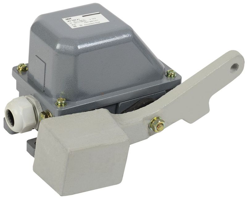 выключатель концевой ку-703 у1 рычаг с грузом 10а ip44 2 эл. цепи б/п iek kv-1-703-1 от BTSprom.by