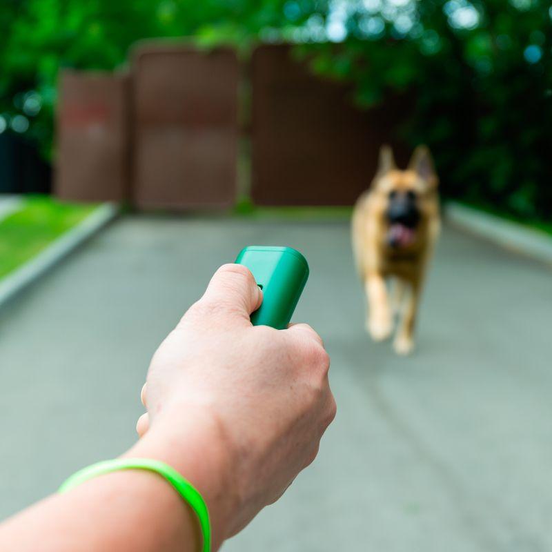  Отпугиватель/тренер собак ультразвуковой S 8кв.м Rexant 71-0069 фото в каталоге от BTSprom.by