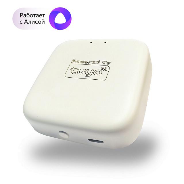 конвертер wifi smart denkirs dk7400-wf от BTSprom.by