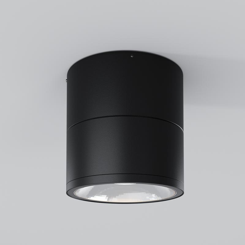  Светильник Spin 12Вт 3000К IP54 потолочн. Maytoni O310CL-L12GF3K фото в каталоге от BTSprom.by