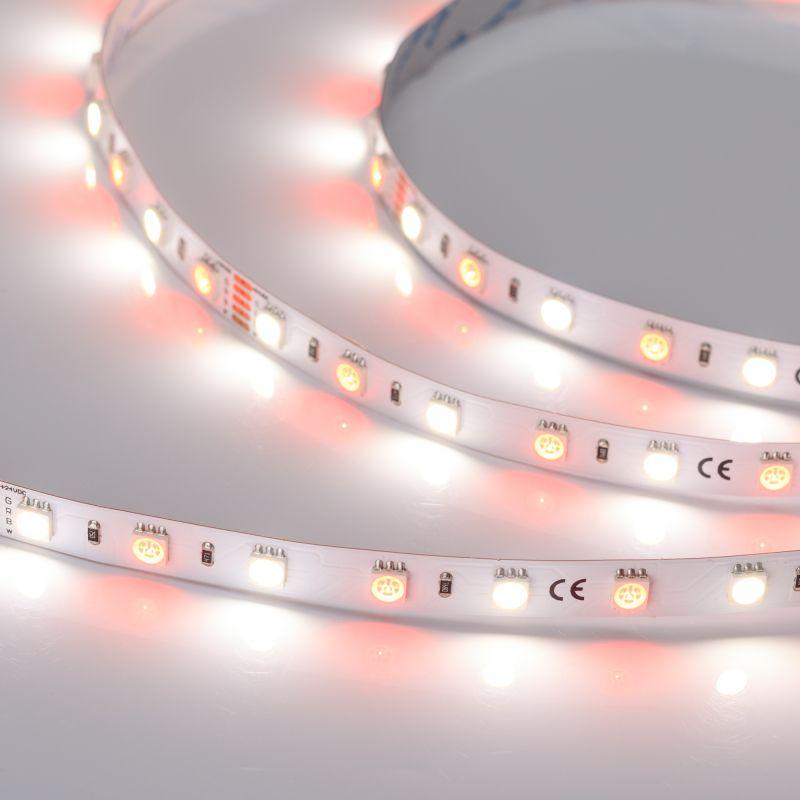 лента светодиодная rt-b60-10mm 24v rgbw-day 14.4вт/м ip20 5060 открыт. (уп.5м) arlight 018326(2) от BTSprom.by