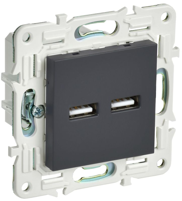 розетка usb a+a 3.1а skandy sk-r15g графит iek sk-u21-d31-k53 от BTSprom.by