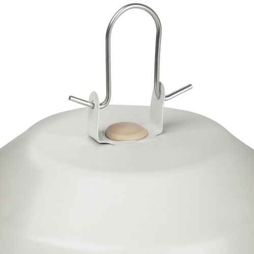  Светильник НСП 02-100-001 Желудь max 100Вт E27 IP54 170х260 без решетки сталь стекло бел. ЭРА Б0052017 фото в каталоге от BTSprom.by