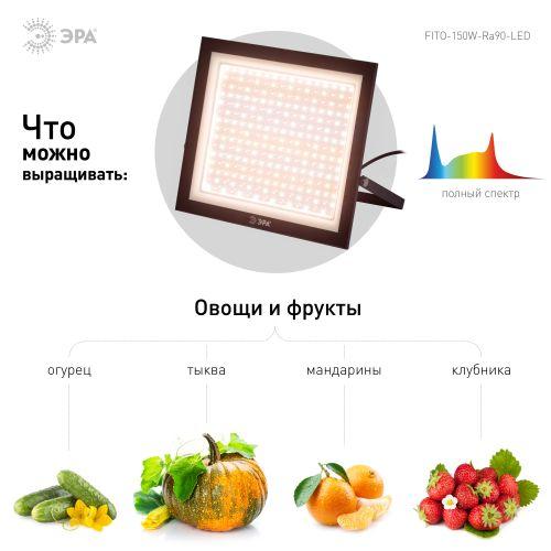прожектор светодиодный fito-150w-ra90-led 150вт для растений полного спектра профессиональный эра б0059880 от BTSprom.by