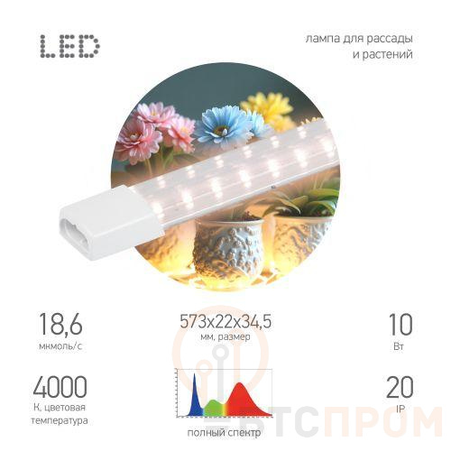 Светильник FITO-10W-Т5-PFR-Slim-GR 10Вт линейный для растений полного спектра GREEN LINE Эра Б0066968 фото в каталоге от BTSprom.by  Светильник FITO-10W-Т5-PFR-Slim-GR 10Вт линейный для растений полного спектра GREEN LINE Эра Б0066968 фото в каталоге от BTSprom.by