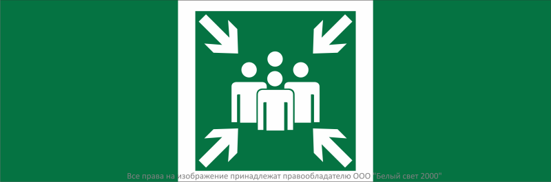 знак безопасности npu-3311.e21 "пункт (место) сбора" белый свет a32680 от BTSprom.by