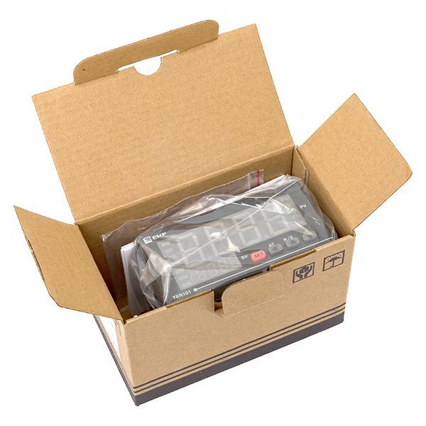  Измеритель-регулятор EKF TER101-M-CV-M2A-R фото в каталоге от BTSprom.by