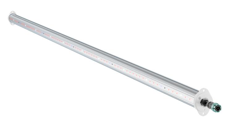 светильник светодиодный tl-agro interlight 90 l2550 r9 для апк технологии света ут000021158 от BTSprom.by