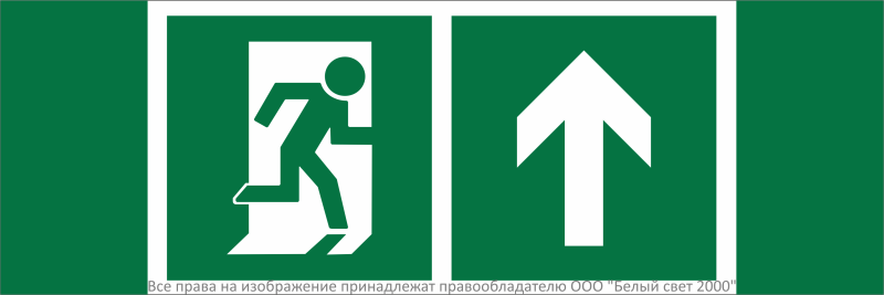 знак безопасности npu-3311.e38 "направление к эвакуационному выходу прямо" белый свет a32688 от BTSprom.by