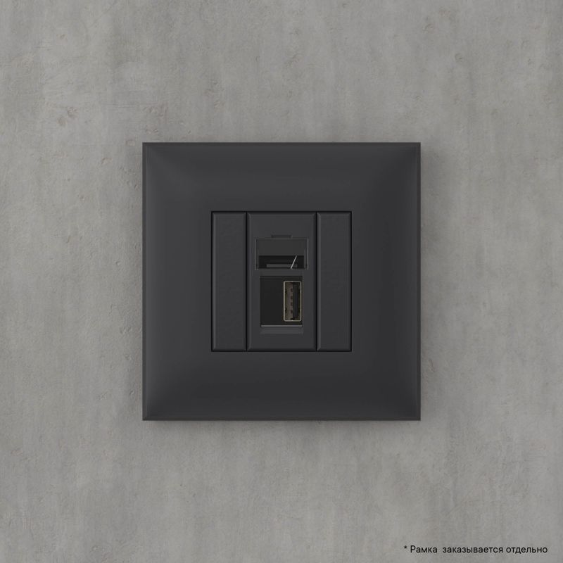  Розетка USB 2.0 1-м СП Avanti "Черный матовый" тип А-А DKC 4412403 фото в каталоге от BTSprom.by