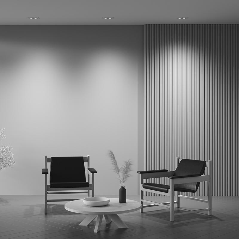  Светильник Hidden 2х10Вт 4000К 36град. встраив. Maytoni DL045-02-10W4K-W фото в каталоге от BTSprom.by