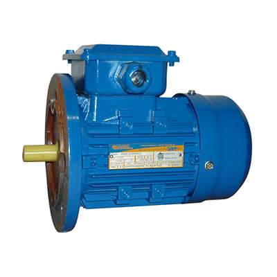 электродвигатель 5аи 63 в6 0.25/1000 im3081 элком 01.01.216686 от BTSprom.by