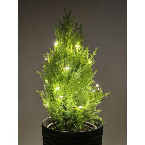  Гирлянда светодиодная "Нить" 2м 20LED АА IP20 тепл. свет ЭРА Б0041891 фото в каталоге от BTSprom.by