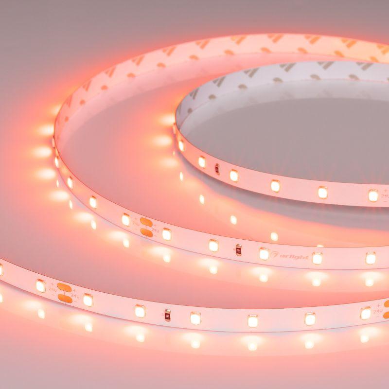 лента светодиодная rt-a60-8mm 24в carrot 4.8вт/м ip20 (уп.5м) arlight 055375 от BTSprom.by