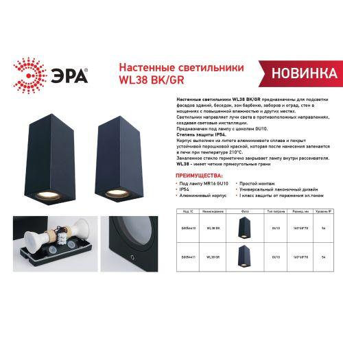  Подсветка декоративная WL38 BK MR16/GU10 (2 лампы по 35Вт) для интерьера фасадов зданий черн. Эра Б0054410 фото в каталоге от BTSprom.by