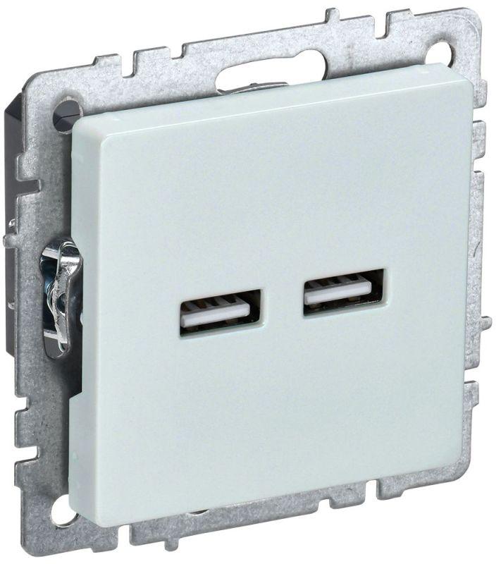 розетка brite usb a+a 3.1а рю10-1-брж механизм жемчуж. iek br-u21-d31-k36 от BTSprom.by