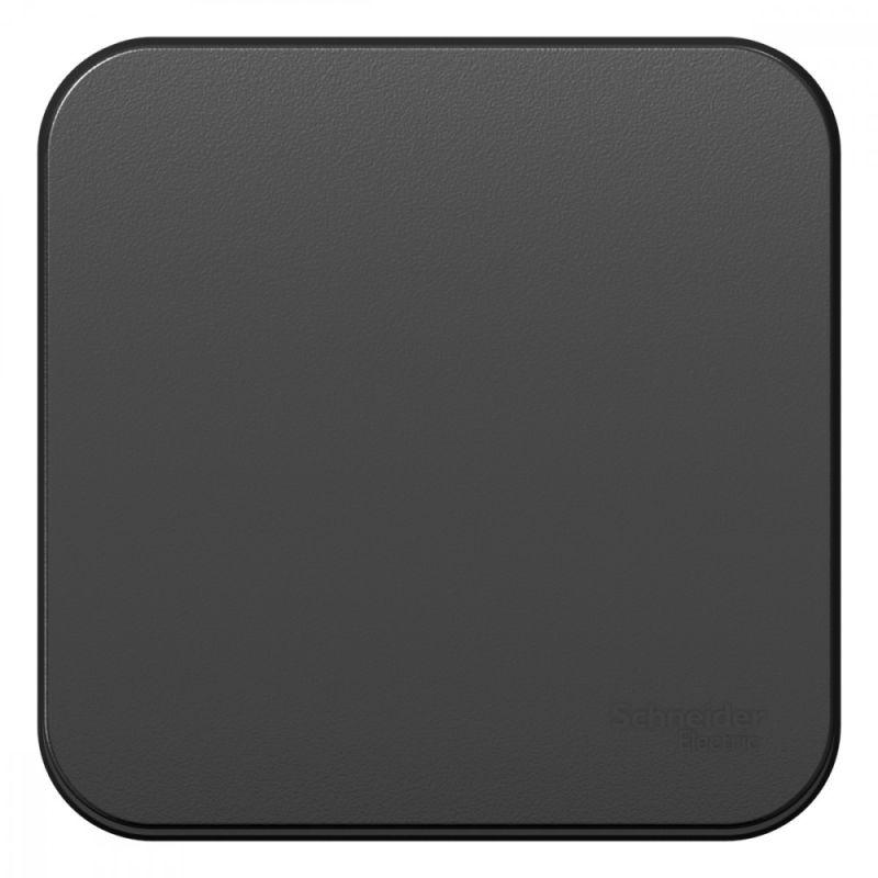 выключатель 1-кл. оп blanca 10а ip20 (сх. 1) с самовозвратом с изолир. пластиной антрацит se blnca101016 от BTSprom.by