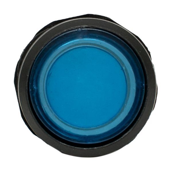  Кнопка SW2C-10D с подсветкой син. NO EKF sw2c-md-b фото в каталоге от BTSprom.by